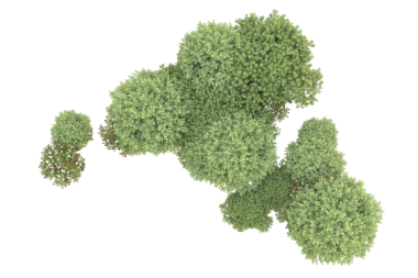 Beyaz arka planda yeşil bitkilerin 3 boyutlu resimlendirilmesi