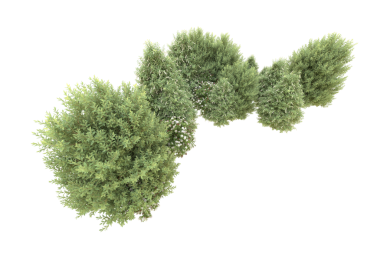 Siyah üzerine 3 boyutlu işleme ağacı