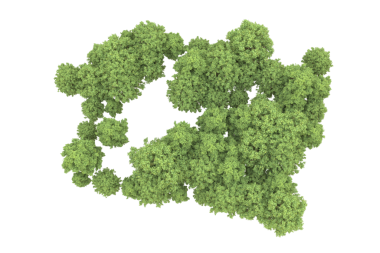 Beyaz arkaplanda izole edilmiş yeşil sarmaşık bitkisi, 3 boyutlu illüstrasyon, 3 boyutlu görüntüleme.