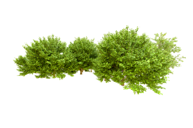 siyah bir zemin üzerine yeşil ağaç.