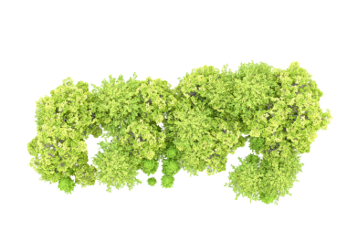 Yeşil çalı ıssız