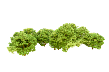 Brokoli siyah bir zemin üzerine