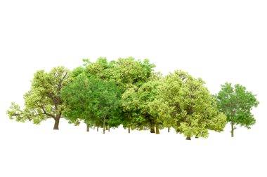 yeşil ağaçlar ve beyaz izole arkaplan