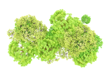 Siyah arkaplanda kırpma yolu ile izole edilmiş 3 boyutlu yeşil yosun çizimi