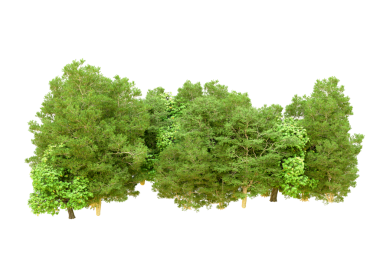 beyaz zemin üzerine yeşil ağaçlar.