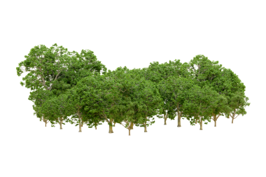 Yeşil izole edilmiş arkaplan ile ağaç şekli