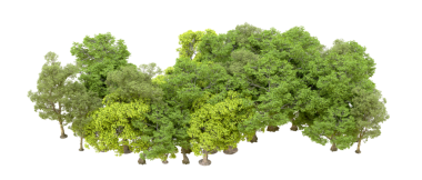 Siyah arka plandaki ağaç. 3d oluşturma.