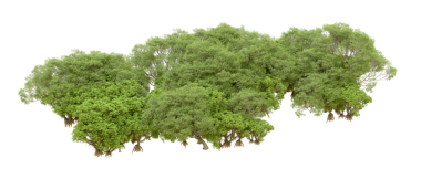 Siyah arkaplandaki ağaç, 3 boyutlu illüstrasyon