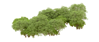 Beyaz arkaplanda yeşil ağaçlar var. Doğada ve tasarımda hem izler hem de pankartlar için 3D hazırlama.