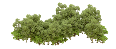 Beyaz arkaplanda 3d biçimlendirme ağacı