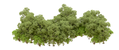 Beyaz arka planda izole edilmiş yeşil ağaç. 3d illüstrasyon