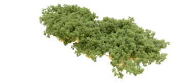 Yeşil çam ağacı siyah arkaplanda izole edilmiş. 3d illüstrasyon