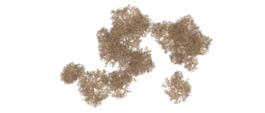 Dünyanın haritası siyah bir arkaplanda