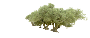 Siyah arkaplanda ağaç şeklinde bir ağaç