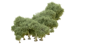 3D illüstrasyon - koyu gri arka planda güzel yeşil bir ağaç