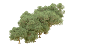 Siyah arkaplanda izole edilmiş ağaç