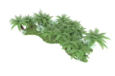 beyaz arkaplanda yeşil bitki