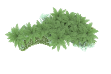 Çalının yeşil yaprakları siyah arkaplanda izole.