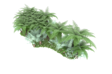 Siyah zemin üzerinde izole edilmiş yeşil bir tropikal ağacın 3 boyutlu görüntülenmesi