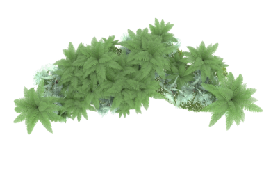 Yeşil bitki siyah arka plan üzerinde izole.