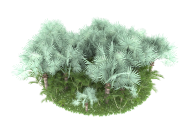 Beyaz arka planda izole edilmiş Noel ağacı dalları