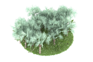 Beyaz arka planda izole edilmiş yeşil ağaç. 3 d cg