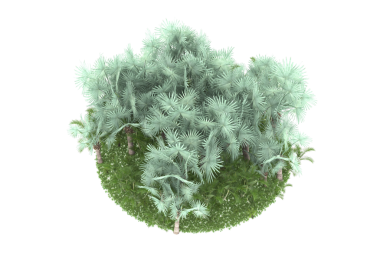 Siyah arka planda izole edilmiş yeşil ağaç. 3d oluşturma.