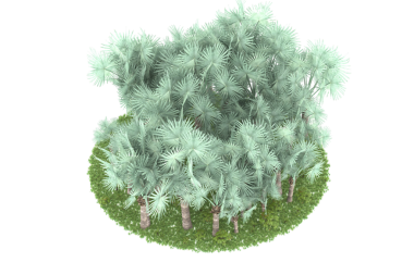 Siyah arkaplanda izole edilmiş 3 boyutlu ağaç