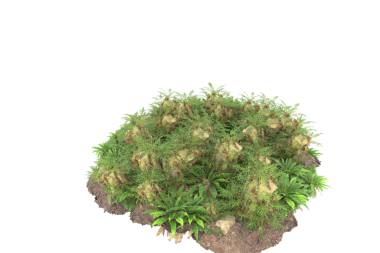 Siyah arka planda izole edilmiş bir bitkinin 3 boyutlu çizimi