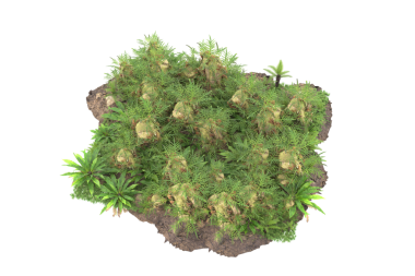 Çimenli 3 boyutlu ağaç