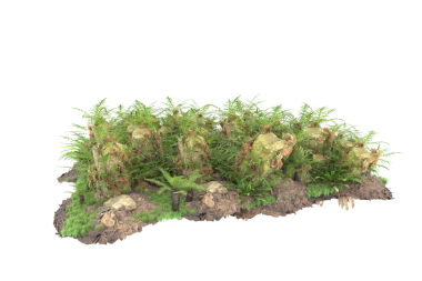 Beyaz arka planda izole edilmiş yeşil bir çimenin 3 boyutlu görüntüsü