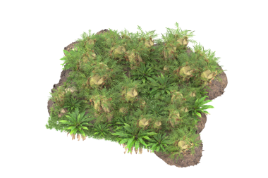 Kırpma yolu ile beyaz zemin üzerinde izole çiçekler ile yeşil kaktüs.