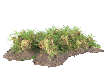 Beyaz arkaplanda yeşil çimen izole