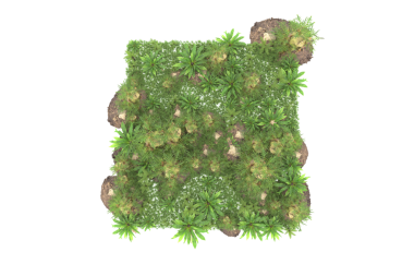 Çimenden yapılmış bir ağaç. 3d oluşturma