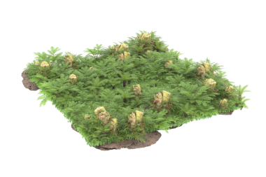 Beyaz arkaplanda 3 boyutlu bir çalılık görüntüsü