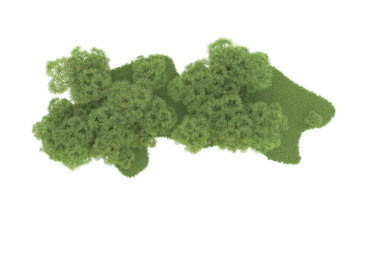 kırpma yolu ile siyah bir arkaplanda izole yeşil ağaç.