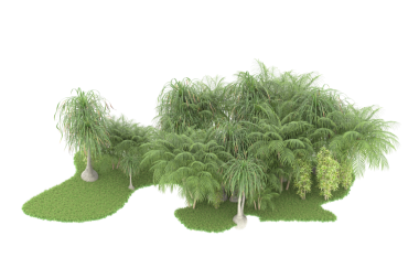 Beyaz arkaplanda izole edilmiş yeşil bir ağacın 3 boyutlu resmi