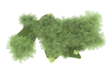 Beyaz arkaplanda yeşil çimen izole