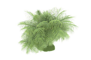 Beyaz arkaplanda izole edilmiş bir ağacın 3 boyutlu görüntüsü