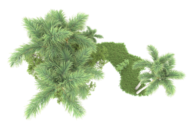 Bir bitkinin 3 boyutlu görüntüsü