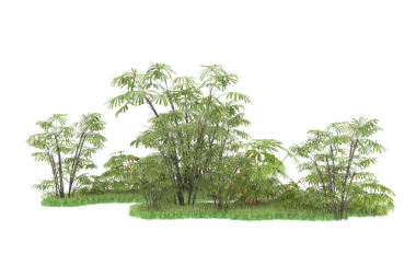 Beyaz arka planda yeşil yapraklı ağaç. 3d illüstrasyon