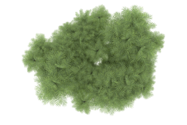 Siyah zemin üzerinde izole edilmiş yeşil bir ağacın 3 boyutlu resmi