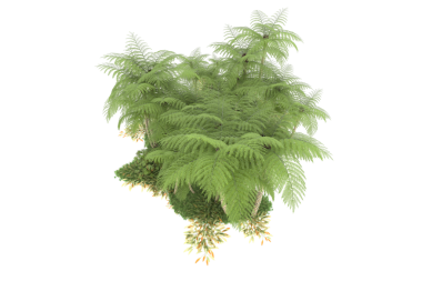 Siyah arkaplanda izole edilmiş bir bitki