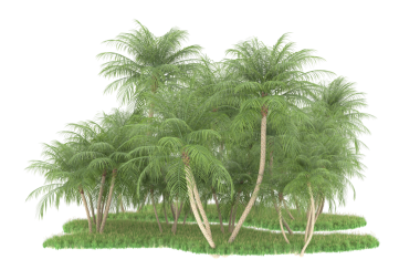 beyaz zemin üzerine yeşil ağaçlar