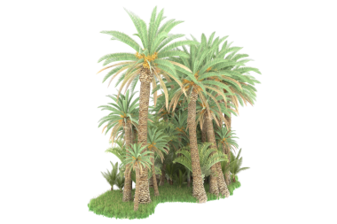 Beyaz arka planda palmiye ağacı. 3 Boyutlu Hazırlama