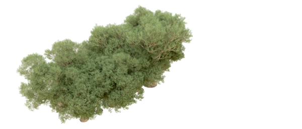 3D illüstrasyon - yeşil ağaç