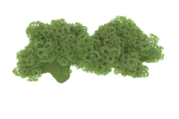 el sabor de los mariscos