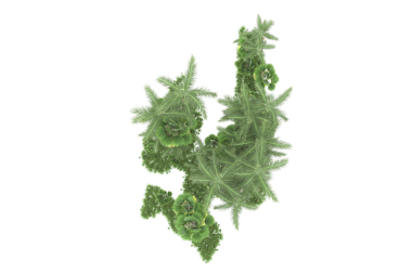 Yeşil yaprak beyaz arkaplanda izole edilmiş. Kesme yolu