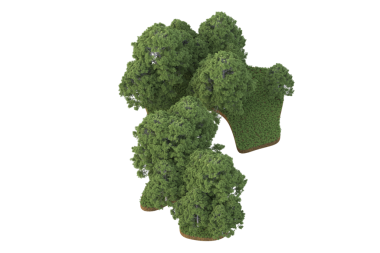 Beyaz arkaplanda 3 boyutlu brokoli çizimi