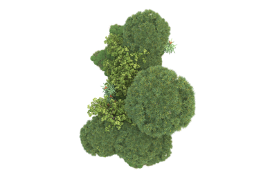3D illüstrasyon - siyah arkaplanda izole edilmiş yeşil ağaç